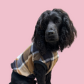 Load image into Gallery viewer, Plaid Pooch Sleeveless Jumper  (Brown)
