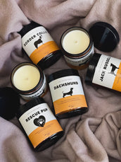 Pompous Pets Candles