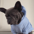 Load and play video in Gallery viewer, Good Boi Club Baby Blue Hoodie
