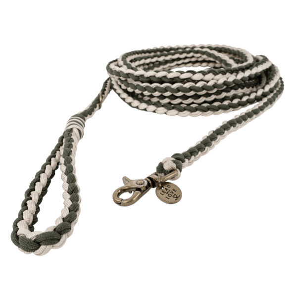 Lead With Love Multifunctional Slip/Rope Lead