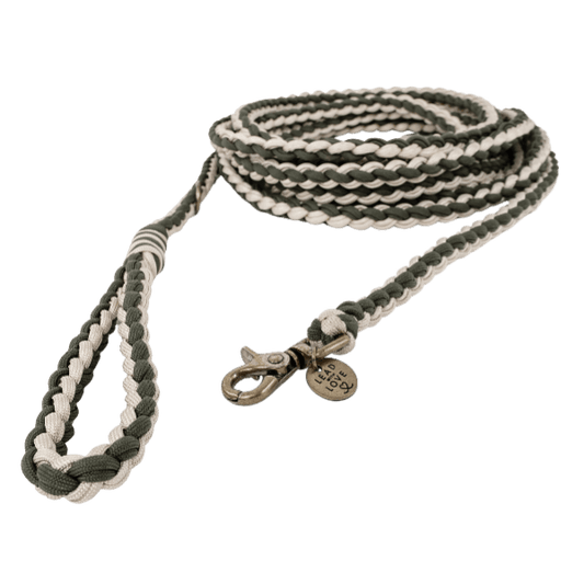 Lead With Love Multifunctional Slip/Rope Lead