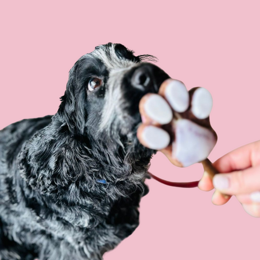 Doggy Deli Ice cream PUPsicles (Collection Only)