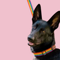 Load image into Gallery viewer, Good Boi Club Rainbow Lead
