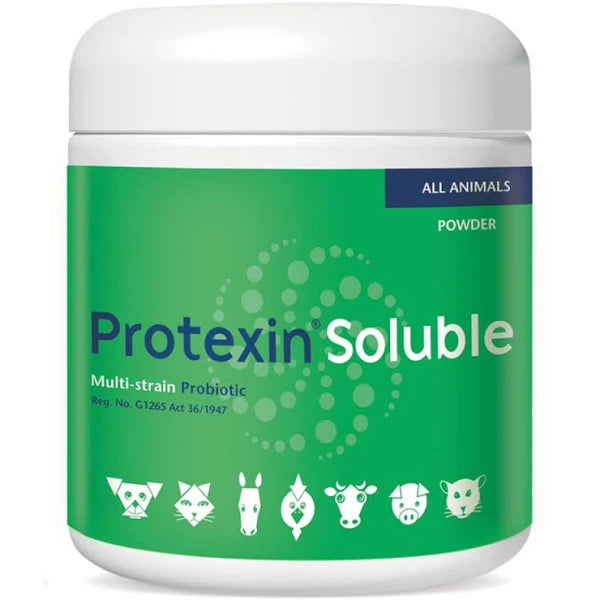 Kyron Protexin Soluble Probiotic Supplement Dog and Cat