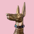 Load image into Gallery viewer, Good Boi Club Space Puppy Lux Collar
