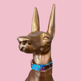 Load image into Gallery viewer, Good Boi Club Teal Lux  Life Collar
