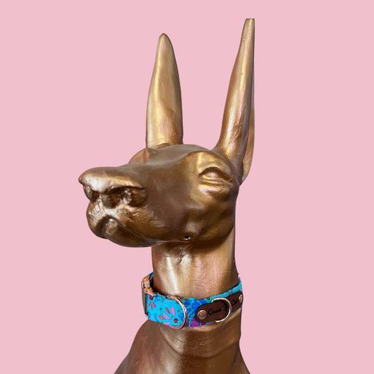 Good Boi Club Teal Lux  Life Collar