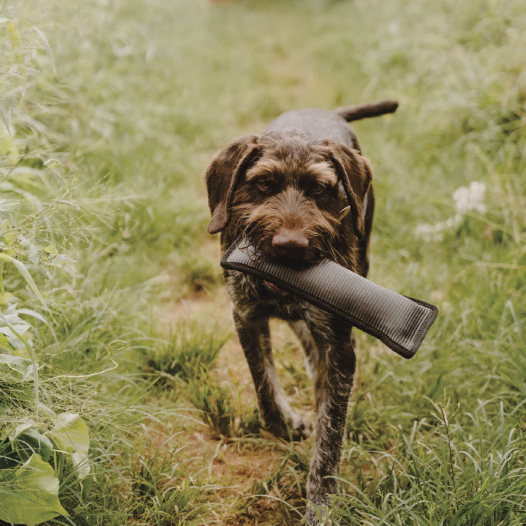 Huntlea Duplex Dog Toy