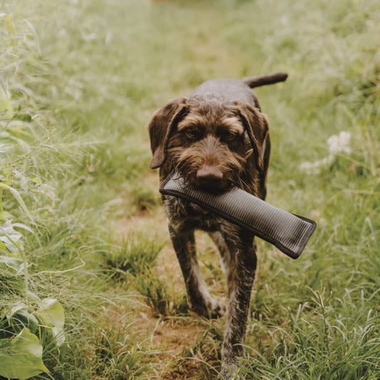 Huntlea Duplex Dog Toy