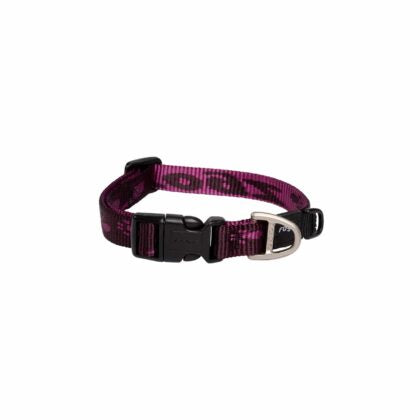 Alpinist Classic Collar Purple