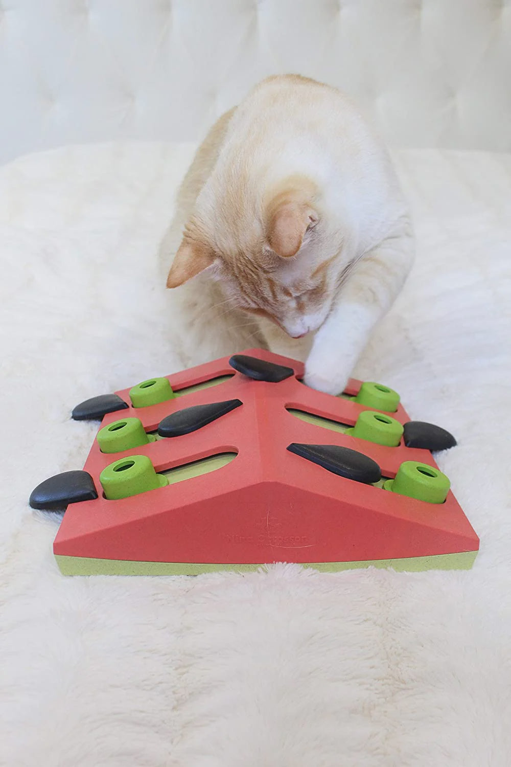 Cat Puzzle 'n Play Melon Madness