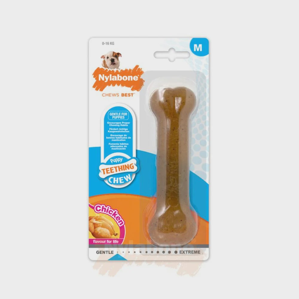 Nylabone Puppy Teething Bone Medium