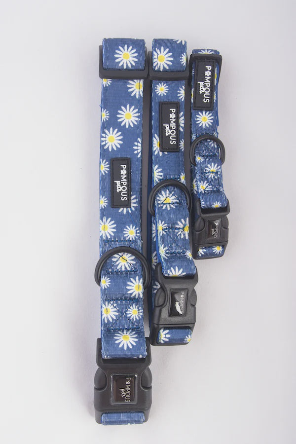 Pompous Pets   Sapphire Daisies Dog Collar