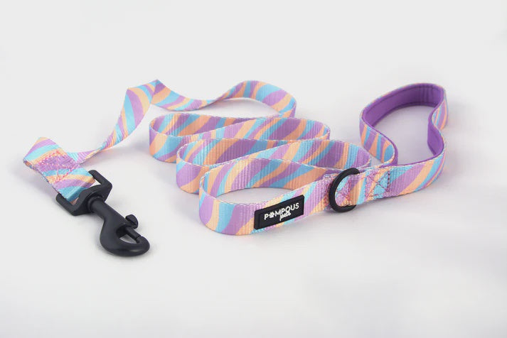 Pompous Pets Lollipop Dog Leash