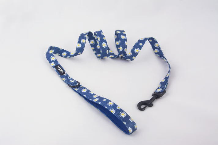 Pompous Pets Sapphire Daisies Dog Leash