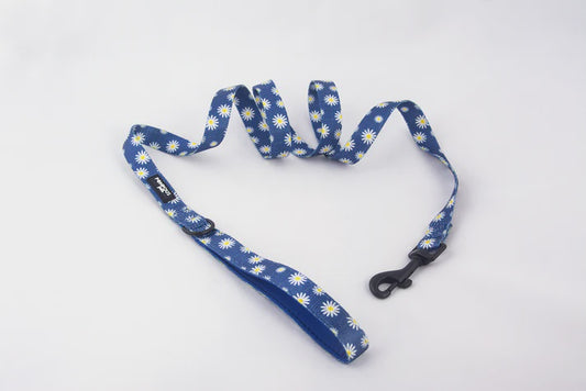 Pompous Pets Sapphire Daisies Dog Leash