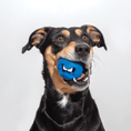 Load image into Gallery viewer, Rogz Fred Treat Dispensing Ball Dog Toy
