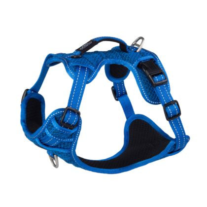 Utility Explorer Harness Blue