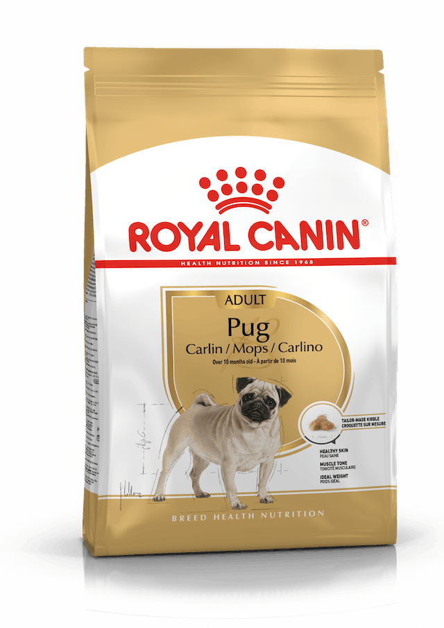 Royal Canin Pug Adult