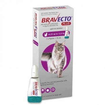 Bravecto Plus Cat Large (6.25–12.5kg) 1x500mg+25mg Silver Purple