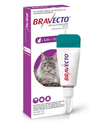 Bravecto Spot-On Cat Large (6.25–12.5kg) 1x500mg Purple