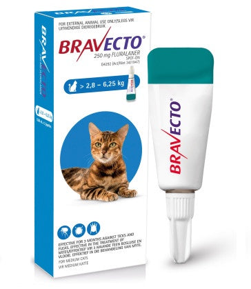 Bravecto Spot-On Cat Medium (2.8–6.25kg) 1x250mg Blue