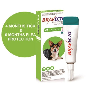 Bravecto Spot-On Dog Medium (10–20kg) 1x500mg Green