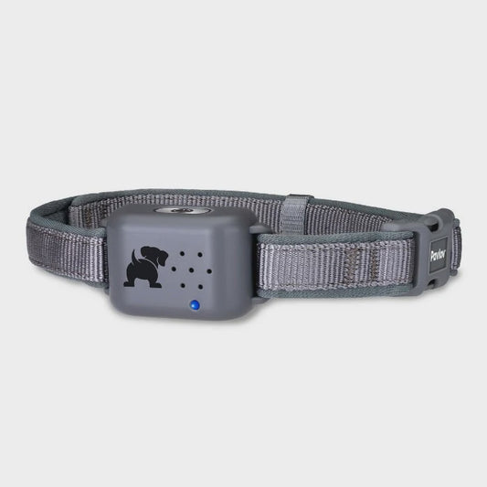 Company of Animals Pavlov Digital No Bark Collar