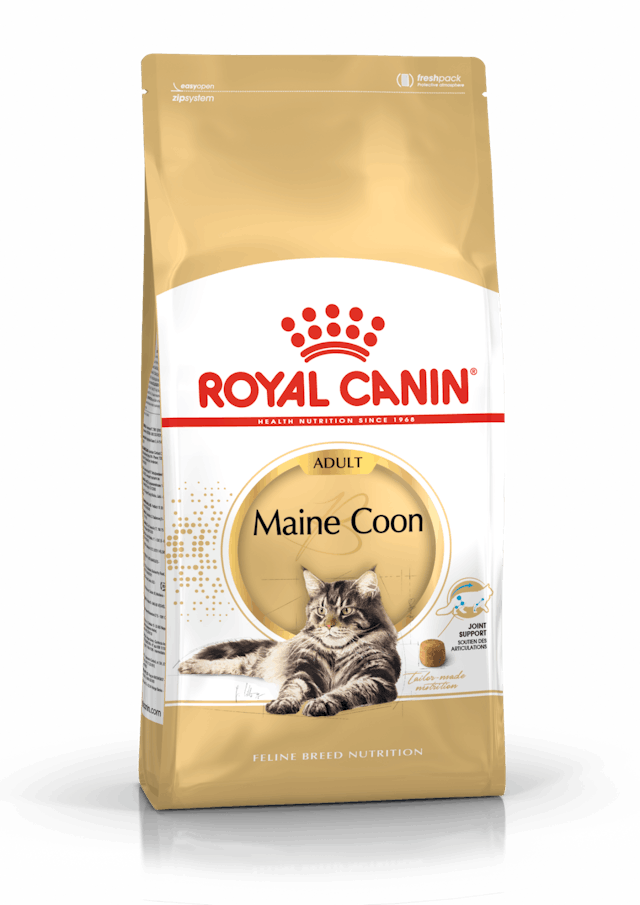 Royal Canin Maine Coon