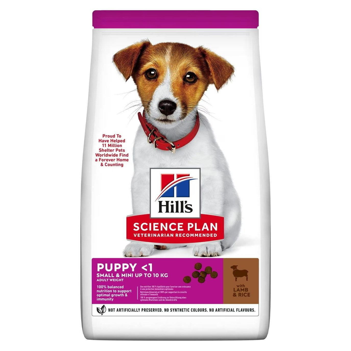 Hills Science Plan  Puppy Small/mini Breed (Lamb &Rice)