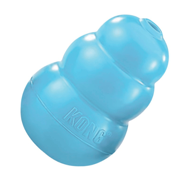 Puppy Dog Toy-Turquoise