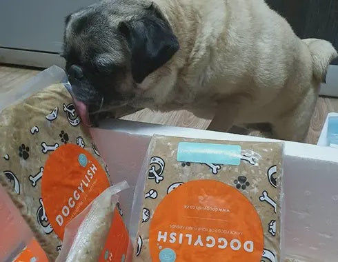 Doggylish Cooked Frozen Food (Collection Only)