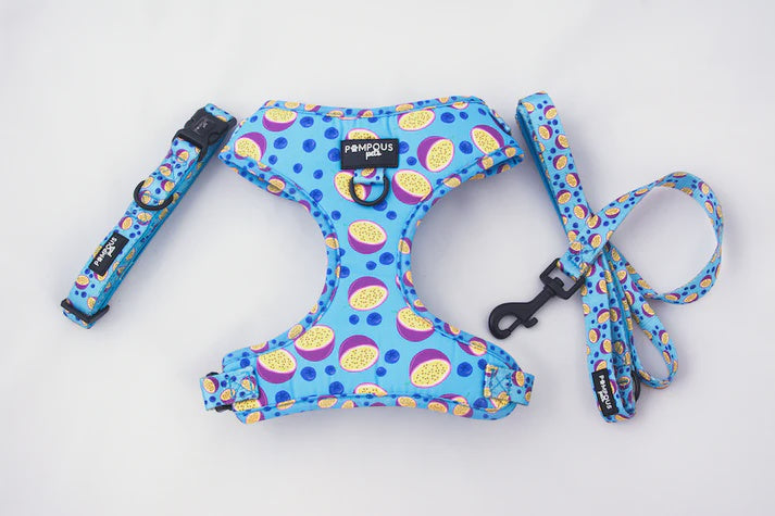 Pompous Pets Berrydilla Dog Harness