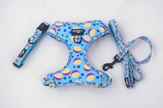 Pompous Pets Berrydilla Dog Harness
