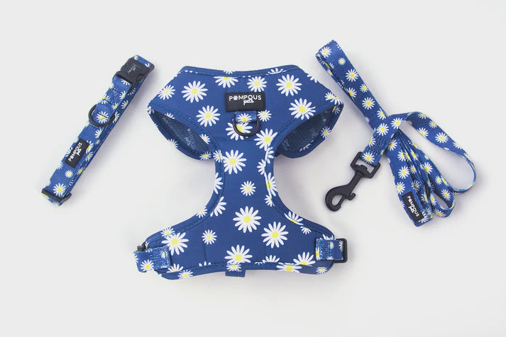 Pompous Pets Sapphire Blue Daisies Dog Harness