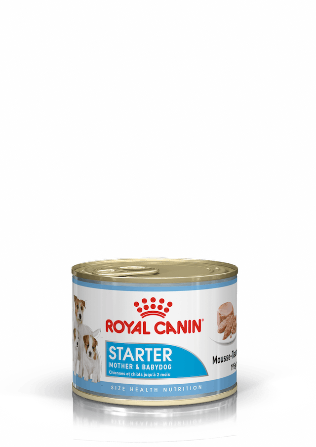 Royal Canin Mother & Baby Dog Mousse