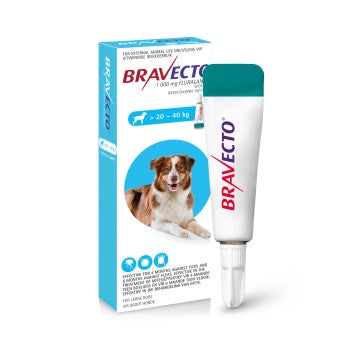 Bravecto Spot-On Dog Large (20–40kg) 1x1000 mg Blue