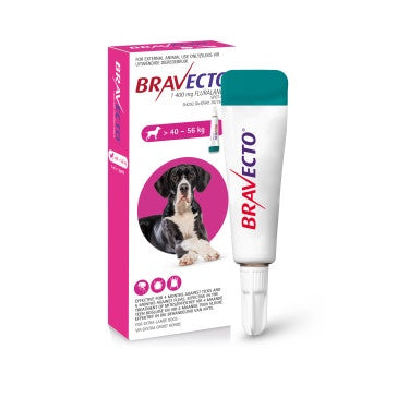 Bravecto Spot-On Dog X-Large (40–56kg) 1x1400mg Pink