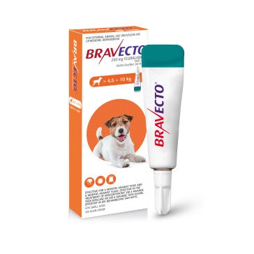 Bravecto Spot-On Dog Small (4.5–10kg) 1x250mg Orange